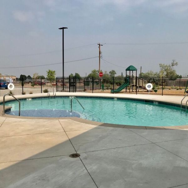 Why Your Furry Friend Will Love Heron Pointe Apartments in Berthoud, C